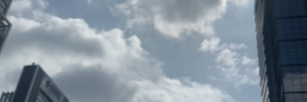羊's banner