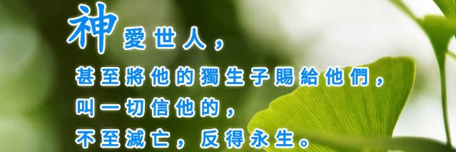 ChenguangD弟兄's banner