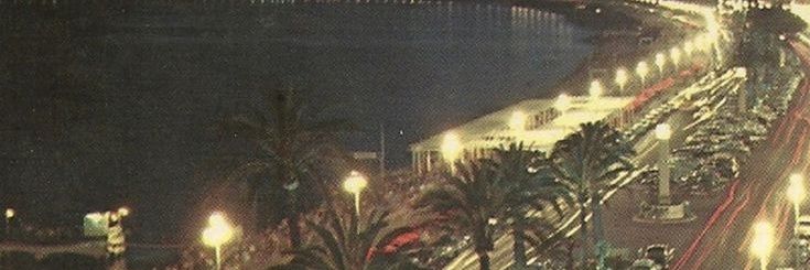 şüheda's banner