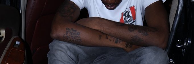 Zaylevelten Archive's banner
