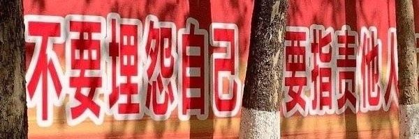 就爱睡大觉's banner