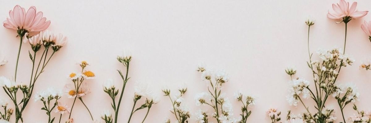 Liva's banner