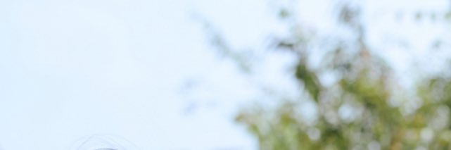 菊池風磨1st写真集「Latido」公式アカウント's banner