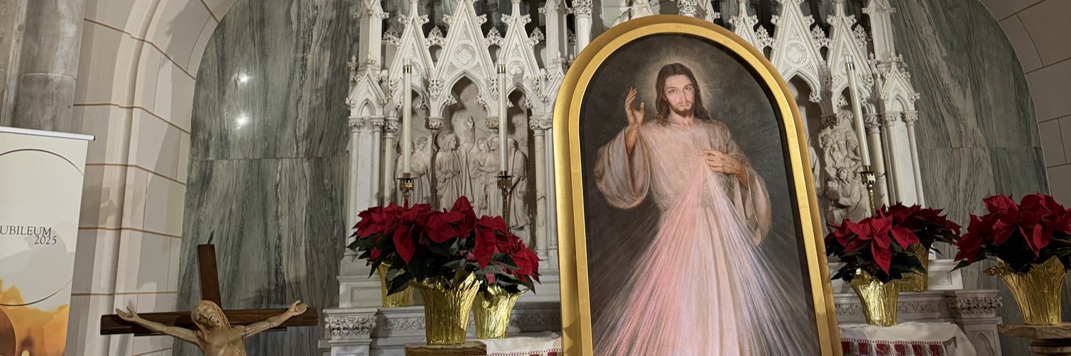 Catholic Taliban Groyper's banner