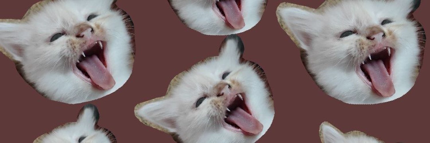 コトコト's banner