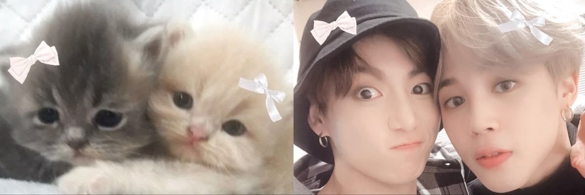 h 🦢 saw bts's banner