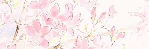 meagon's banner