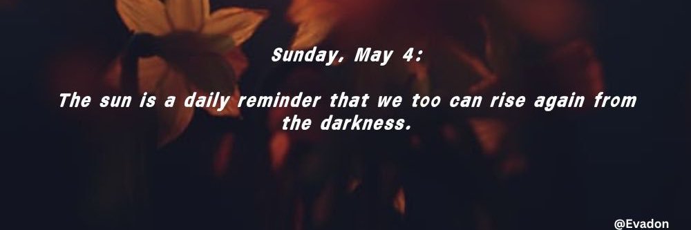 Evadon's banner