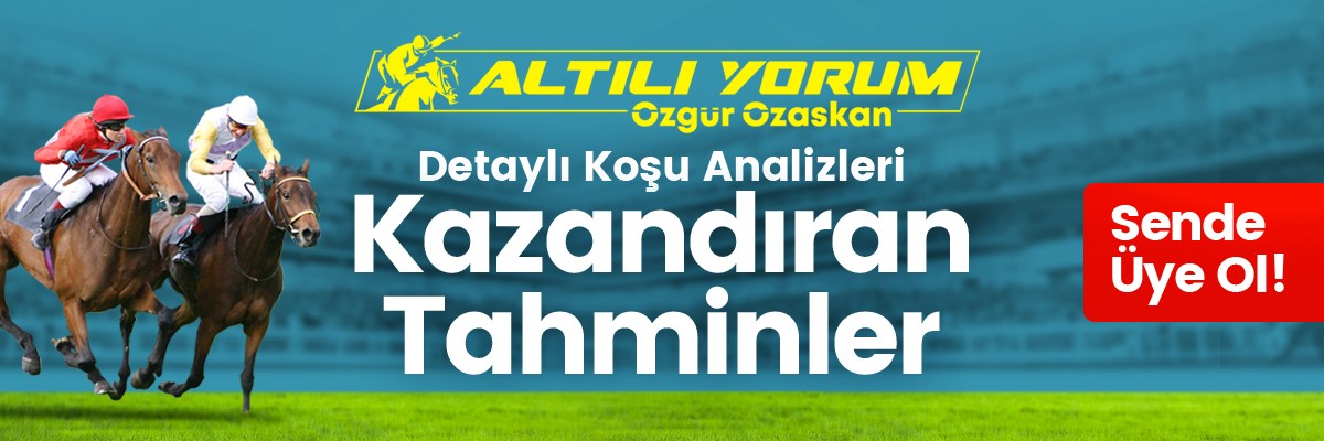 özgür özaskan's banner