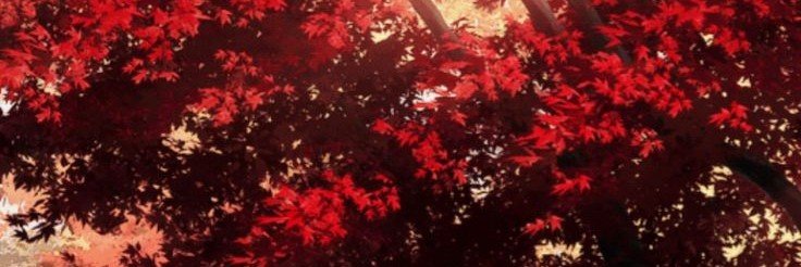 Ella's banner