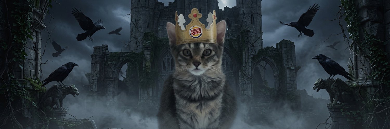ᴀʀɪᴢᴏɴᴀ ɢᴏʏ's banner