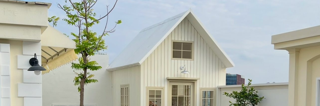 小鱼不爱吃鱼3.0's banner