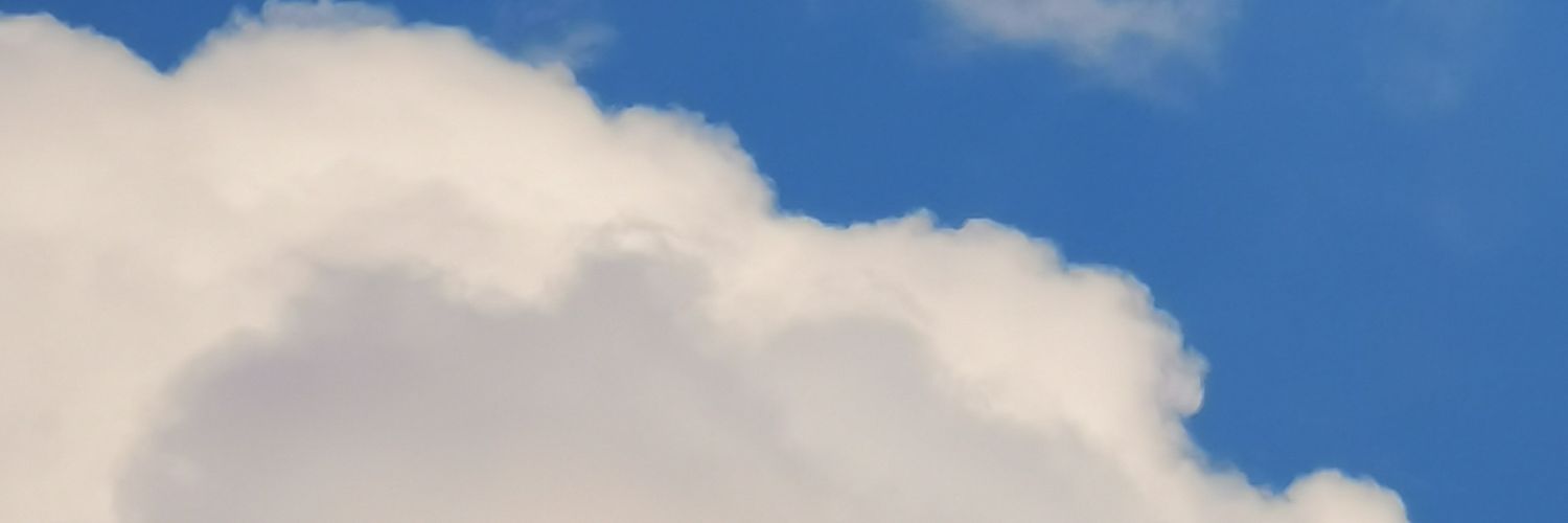 321nauYnauY✨'s banner