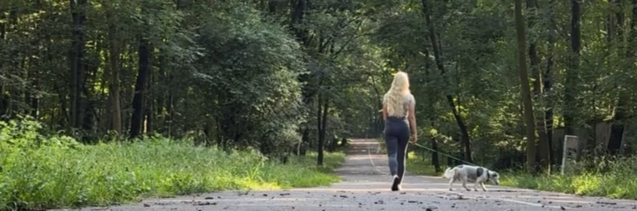 Lili Queen 👑's banner