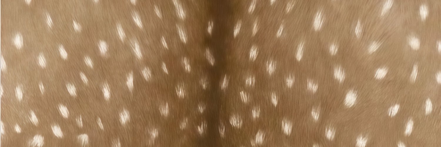 Alisa's banner