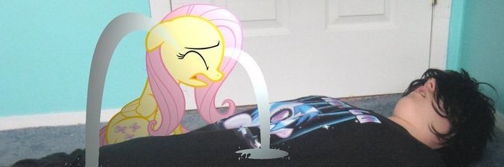 timidangel.'s banner