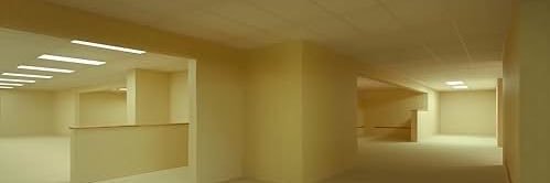 ᴇʟɪᴢᴀʙᴇᴛʜ ꜱʜᴀᴡ's banner