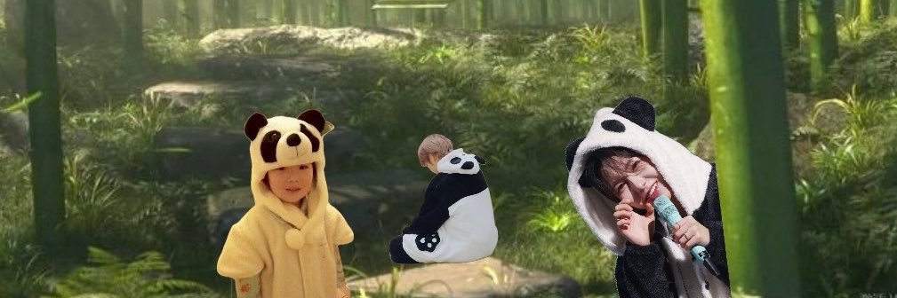 Sakusom's banner
