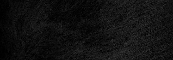 𝐑𝐢𝐧𝐚𝐱𝐱's banner