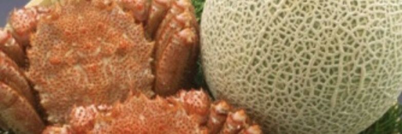 湘南🦀🍈's banner