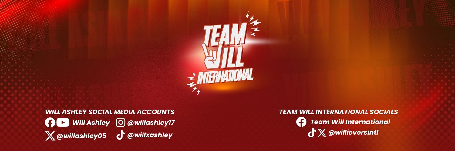 TEAM WILL INTERNATIONAL's banner