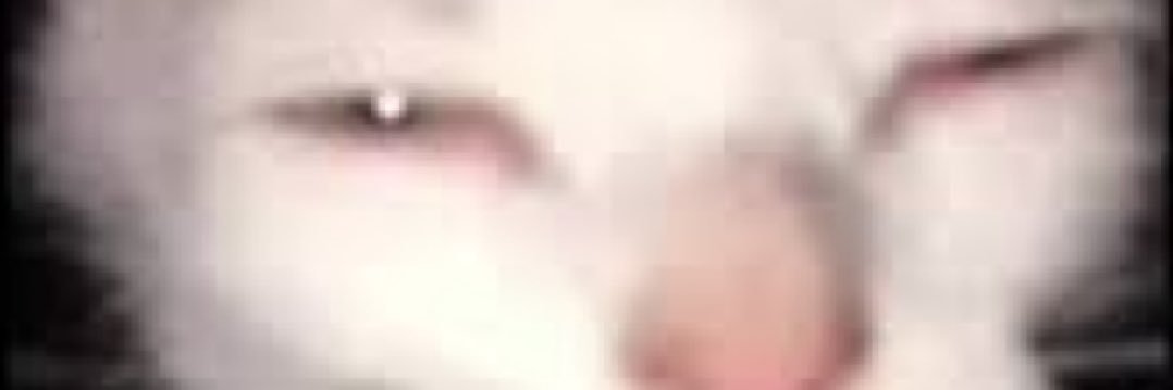 🫸🧠🫷😟's banner