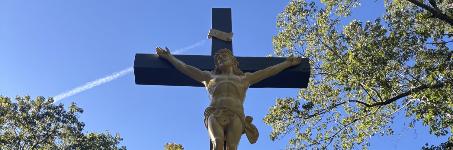 Dan 🇻🇦✝️'s banner