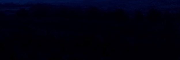 دمّاح's banner