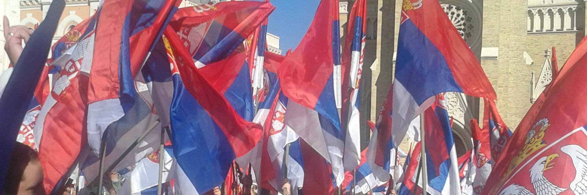 Aleksandar Petrović's banner