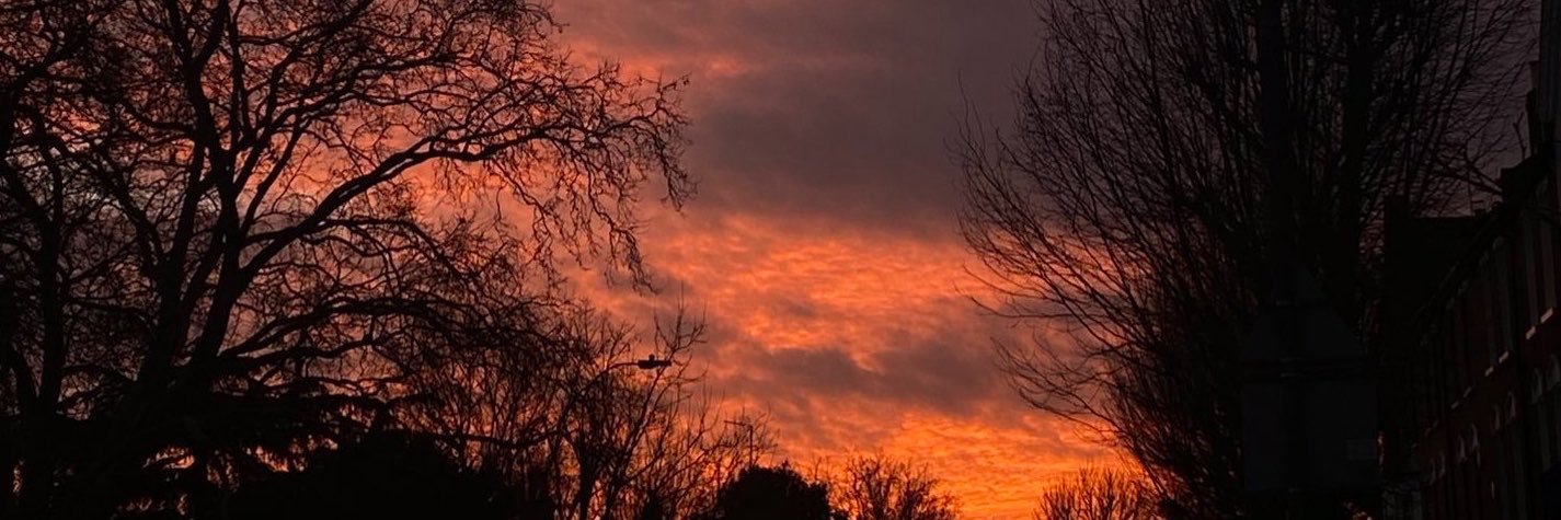 Ayesha 🐆's banner