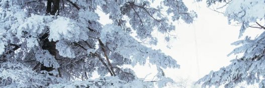 假人's banner