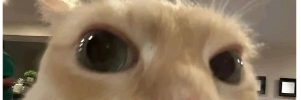 Niki_ki_tikki's banner