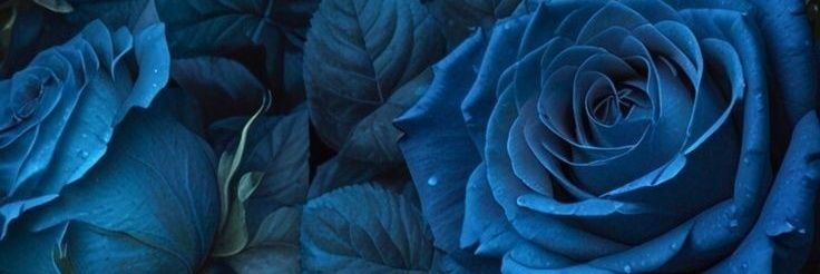 Jacky_shedtwt's banner