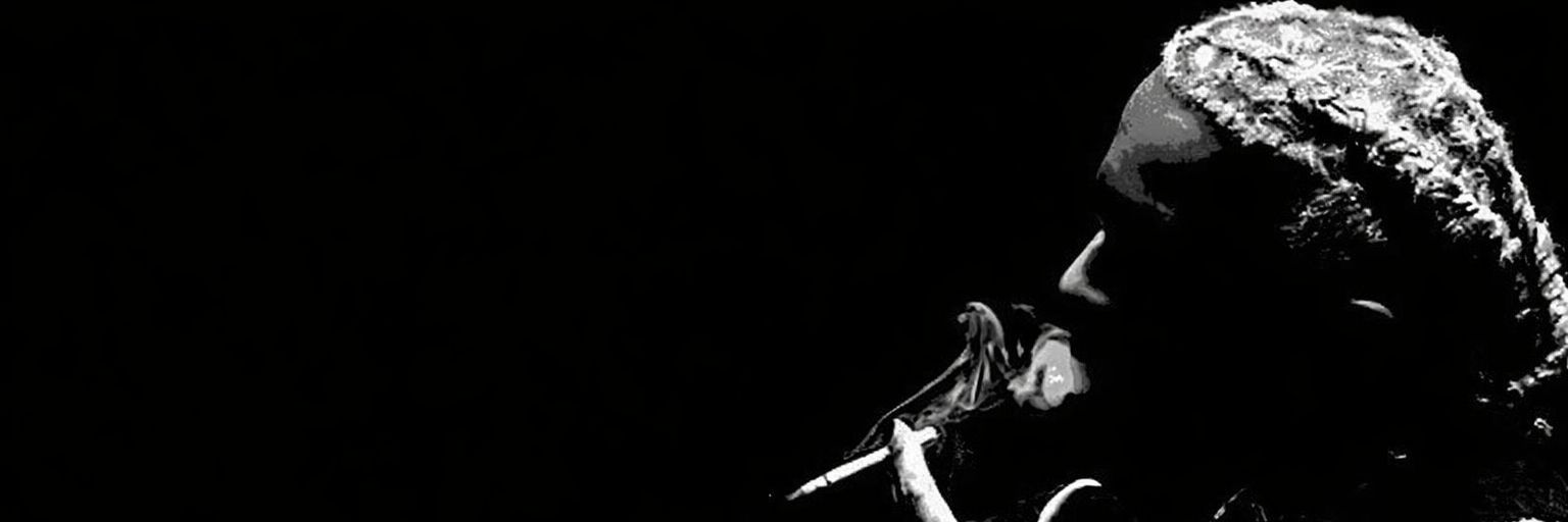 dudu's banner
