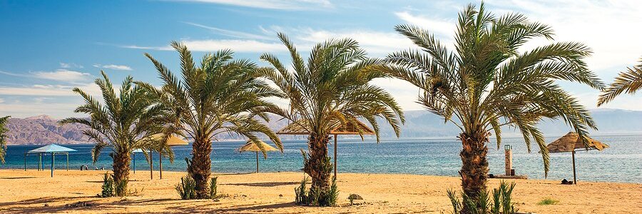 🇯🇴 حسان ضيغم's banner