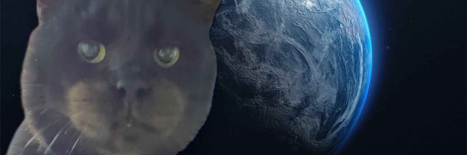 元ボス猫むさし's banner