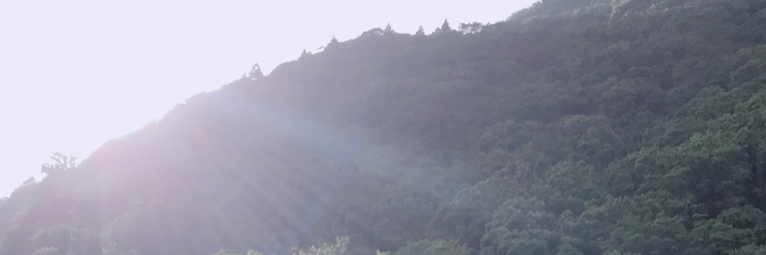 L&C小天地🤫's banner
