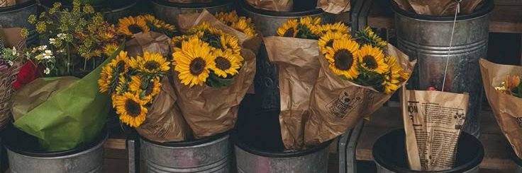 bambam's banner