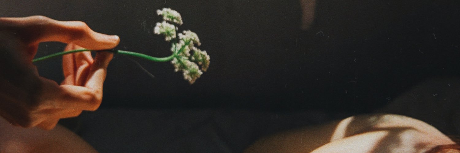 萳萮's banner