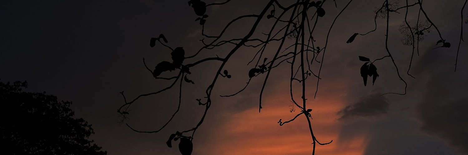 Tobi_tra's banner