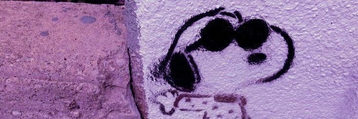 stink🏳️‍⚧️'s banner