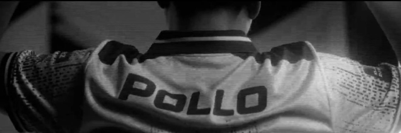 Pollo updates's banner