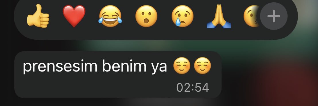 ayça's banner