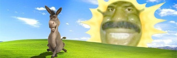 Scotches's banner