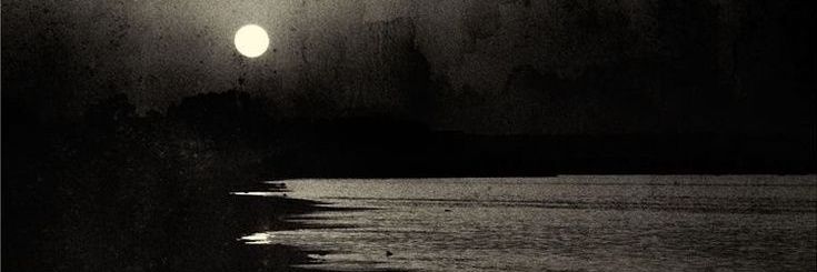 Sevde's banner