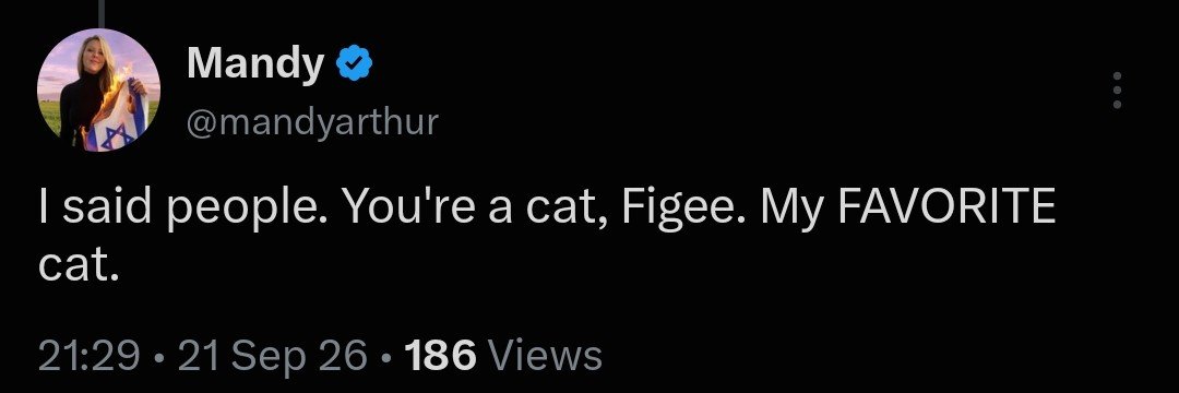 Figgy The Best Cat's banner