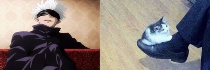 y;'s banner