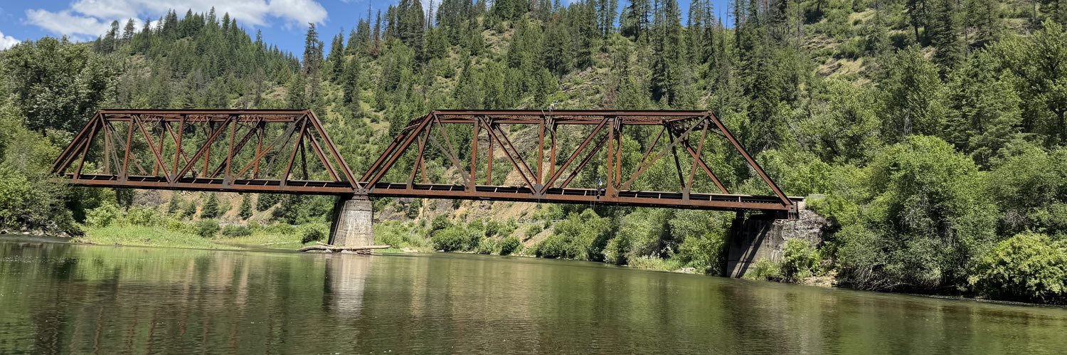 Idaho Patriot's banner