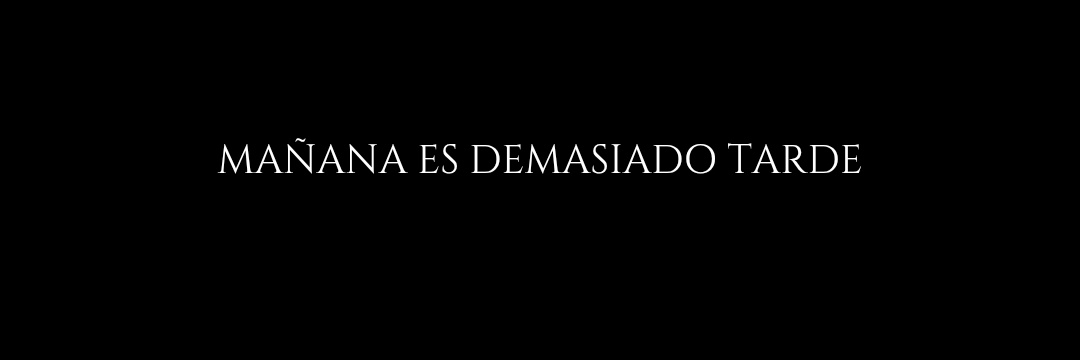 Thomas Lizana's banner