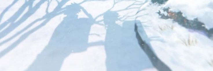⋆'s banner